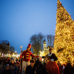 Satu Mare, de poveste odată cu deschiderea Târgului de Crăciun!